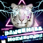 DANCEHALLHORNSOUND!!!!