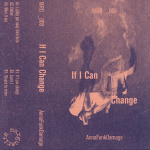 If I Can Change
