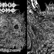 Rancid Fermenting Disgust / Submersion Emeto​-​Asphyxique
