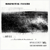 Magnetic Fields