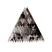 Broadcast 15 (Live)