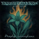 Proiphys Cunninghamii