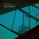 Con-struct (with Frank Brettschneider)