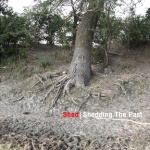 Shedding The Past