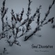 Winter Contemplations