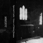 MMXXVI