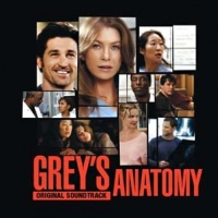 Grey's Anatomy Volume 1