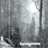 Grey Shadows Of The Universe II