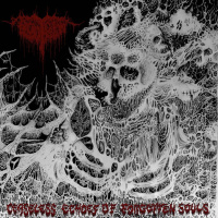 Ceaseless Echoes of Forgotten Souls