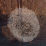 こんな夢を見た (I had a dream)