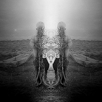 Cyclopian