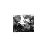 A Siren Blares In An Indifferent Ocean