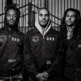 Fever 333