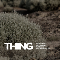 Thing