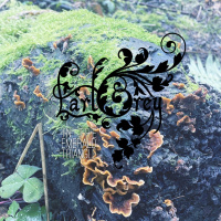 In The Emerald Triangle