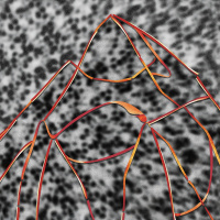 Two Hours Or Something