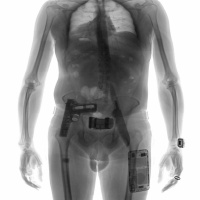 Stranger In A Strange Land