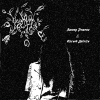 Among Demons & Cursed Spirits