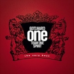 One Team, One Spirit
