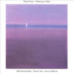  A Blessing of Tears: 1995 Soundscapes, Vol. 2