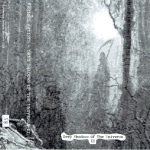 Grey Shadows Of The Universe II