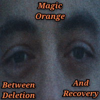 Between Deletion And Recovery