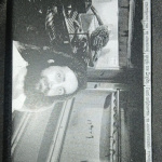 Abhorrent Anthropoid