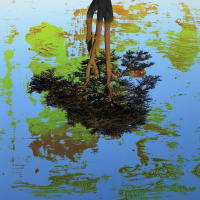 Dewy Reds, Fatal Jaws