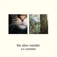 The Slow Wonder