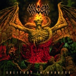 Solitude in Madness