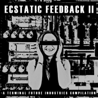 Ecstatic Feedback II: A Terminal Future Industries Compilation [PART 1]