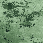 The Scent Of Decay