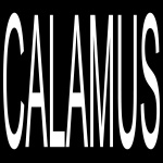 Calamus