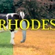 Rhodes