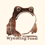 Wyoming Toad
