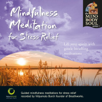 Mindfulness Meditation for Stress Relief