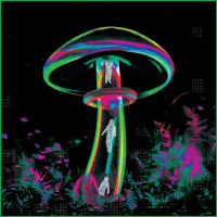 Foresti Traxxendenti