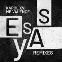 Essay - Remixes