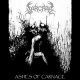 Ashes of Carnage