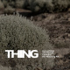 Thing