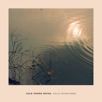 Cold Spring Notes