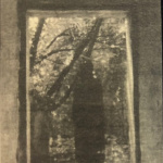 Das Letzte gold verfallener sterne