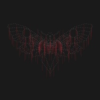 Moth