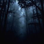 Desolate | Into Dust
