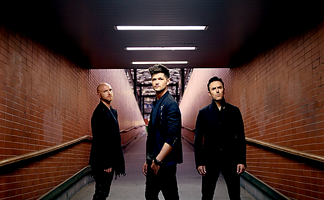 The Script