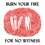 Burn Your Fire for No Witness