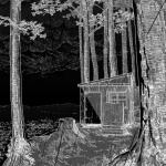 가장 어두운 시간 (The darkest hour)