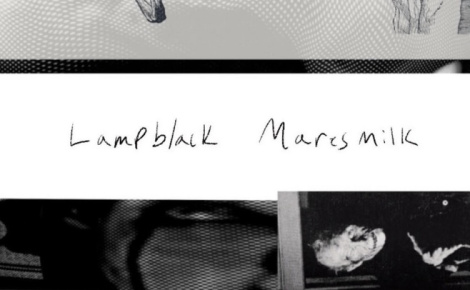 Lampblack Maresmilk