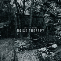 Noise Therapy