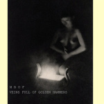 VEINS FULL OF GOLDEN HAMMERS